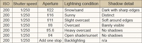 Table showing variations on the Sunny 16 Rule where you keep the ISO paired with the nearest shutter speed.