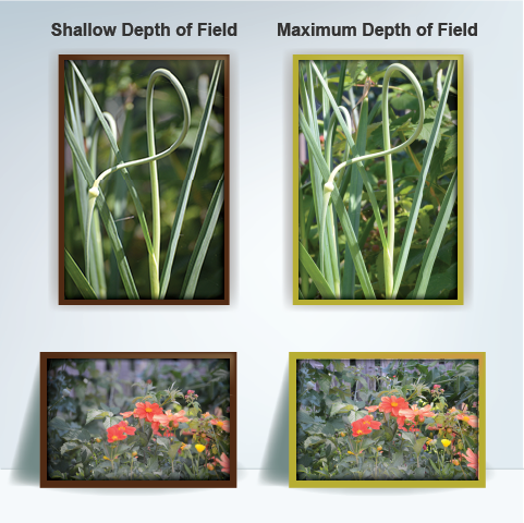 Image depicts shallow and maximum depth of field.