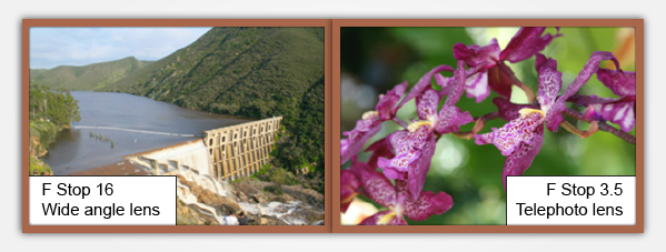 Photograph of a dam taken with a wide-angle lens and of flowers at f 3.5 taken with a telephoto lens.