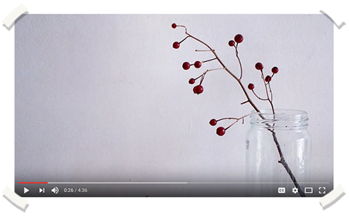 Screenshot image of video: The Case for Minimalism.